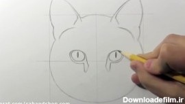 طراحی حیوانات با مداد - گربه