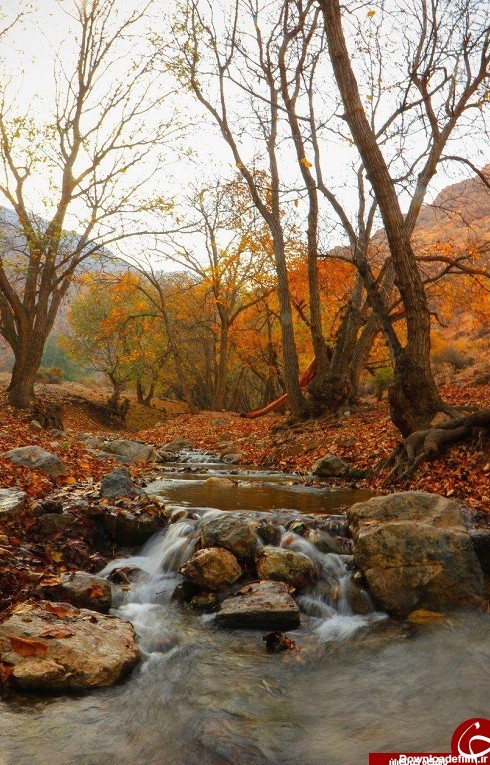 طبیعت زیبای پاییزی ارومیه+تصاویر