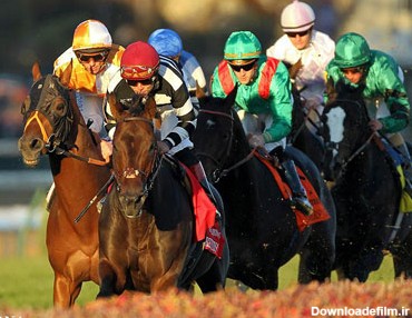 مسابقات اسب سواري قهرماني جهان - اسلايد تصاوير - عکس شماره 1 ...