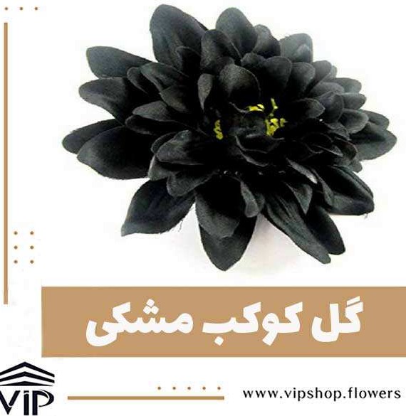 خرید گل مشکی - انواع باکس گل رز سیاه ✿| VIP