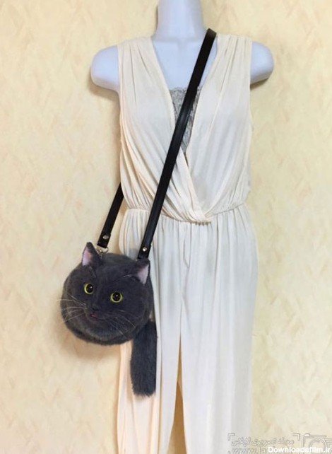 کیف های گربه ای، ترسناک یا زیبا؟