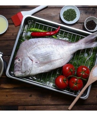 خواص، قیمت و خرید ماهی شانک صورتی (کوپر یا کافر) تازه جنوب | ماهی دریا