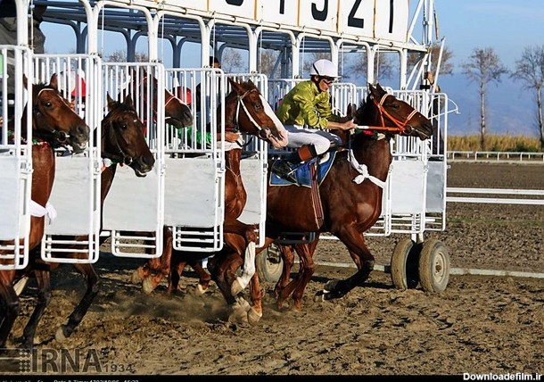 مسابقه اسب سواری در گلستان (عکس)