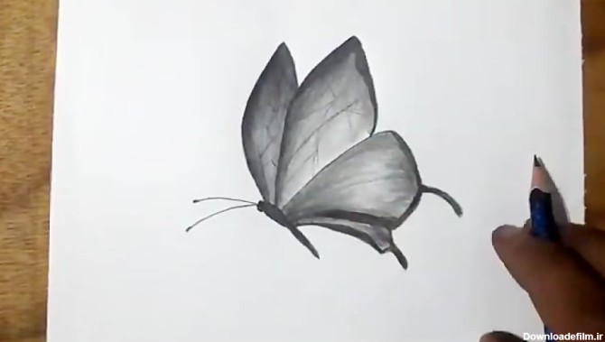 آموزش نقاشی طراحی پروانه های زیبا با مداد قدم به قدم آسان برای مبتدیان