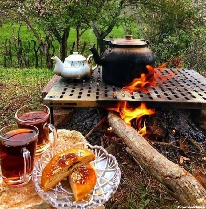 با چای کوهی آشنا شوید! - گلتیسا