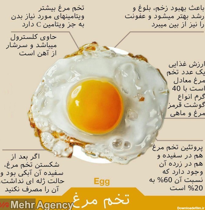 تخم مرغ‌ها چه فوایدی برای ما دارند؟