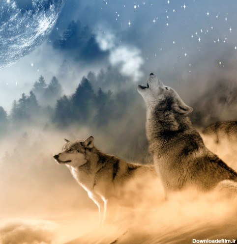 Wolf Wallpaper - برنامه‌ها در Google Play