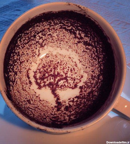 تعبیر و تفسیر اسب آبی در فال قهوه | ستاره