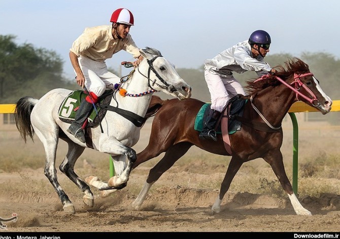 Iranian Horse Racing Competition in Ahvaz - Photo news - Tasnim ...
