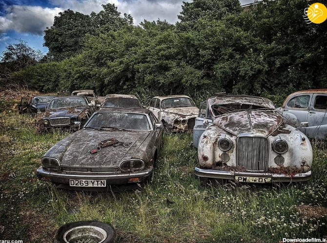 فرارو | (تصاویر) معمای خودرو‌های کلاسیک رها شده در مزرعه