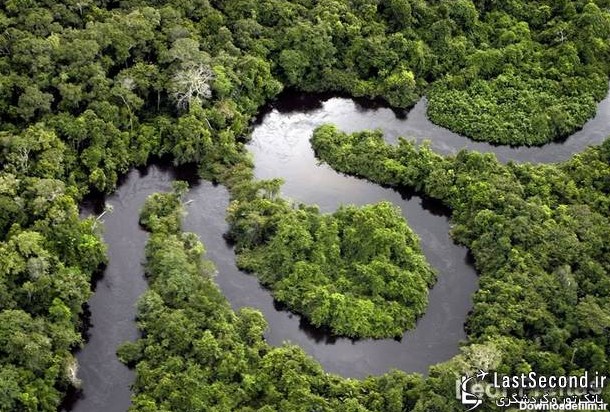 تصاویری زیبا از جنگل های آمازون (قسمت دوم) | لست‌سکند