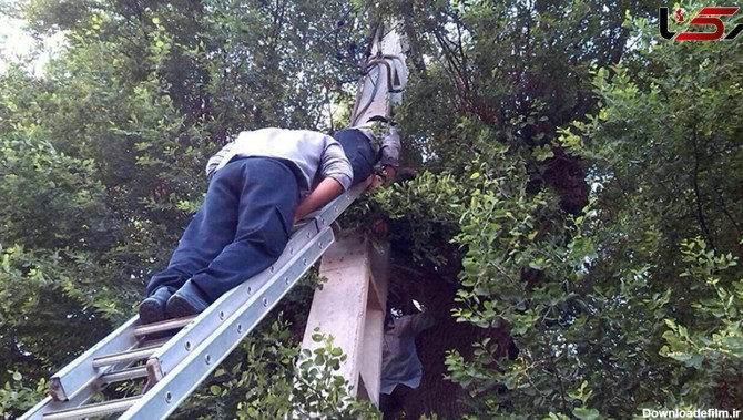 مرد 35 ساله کرجی درجا خشکش زد / کشف یک جسد روی درخت+ عکس عجیب