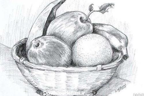 طرح نقاشی سیاه قلم میوه - عکس نودی