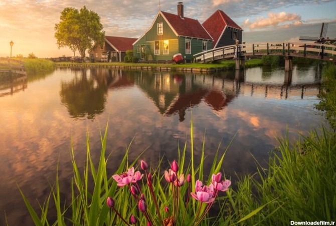 طبیعت زیبای هلند در بهار - کجارو