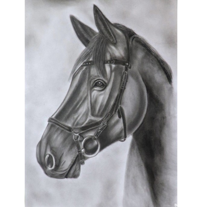 قیمت و خرید نقاشی سیاه قلم طرح اسب مدل 56896 - لوپیکو
