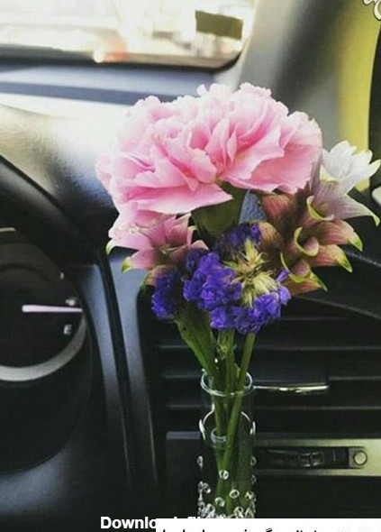 عکس گل تو ماشین
