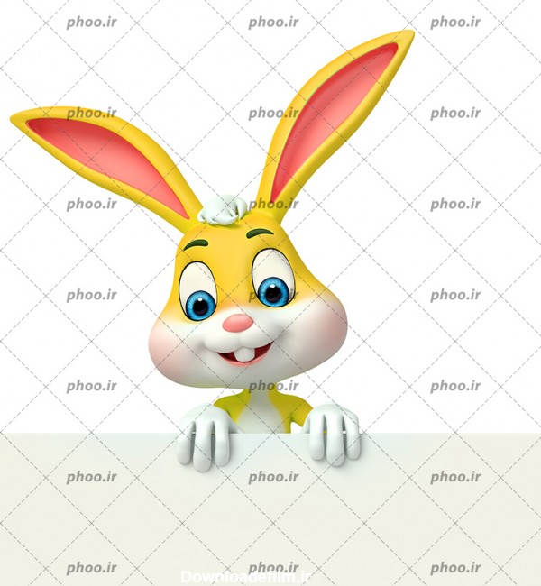عکس خرگوش زرد ناز در پشت یک بنر سفید – عکس با کیفیت و تصاویر استوک ...