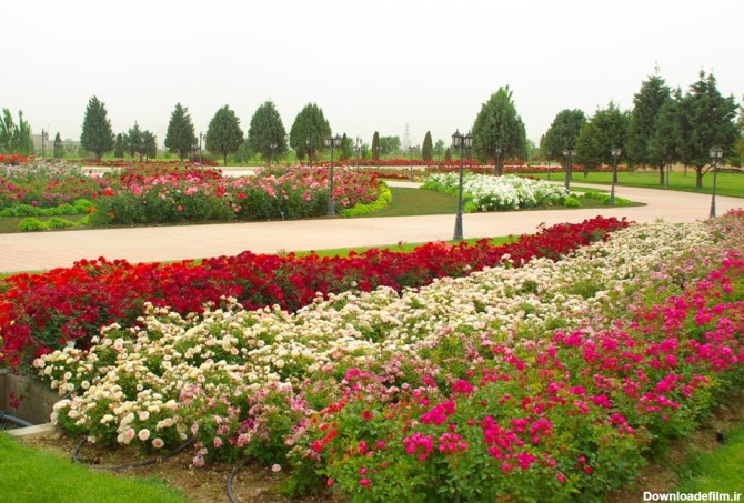 عکس باغ گل ایران