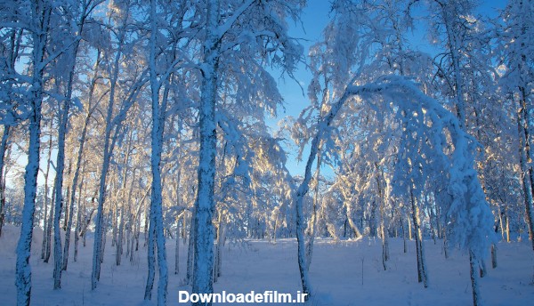 والپیپر تماشایی و ایده آل از طبیعت زمستانی برای ویندوز 11