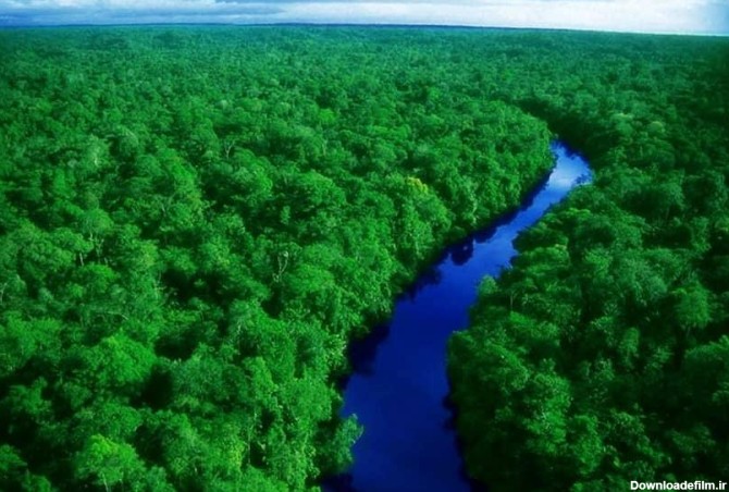 جنگل های آمازون کجاست | اهمیت و فواید + عکس و عجایب - کجارو