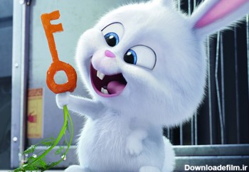 عکس کارتونی خرگوش بامزه سفید rabbit cute white