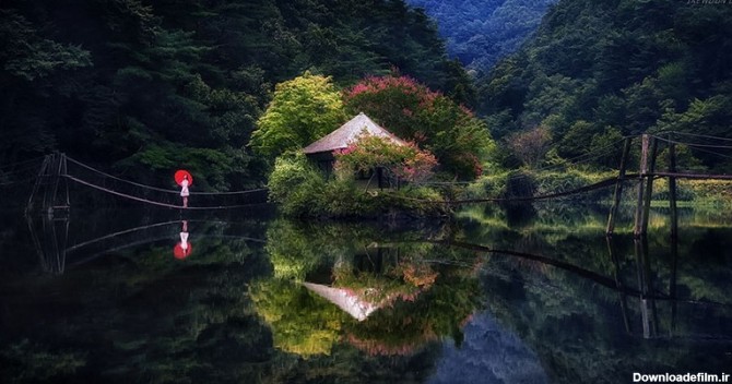 طبیعت زیبای کره جنوبی (عکس)
