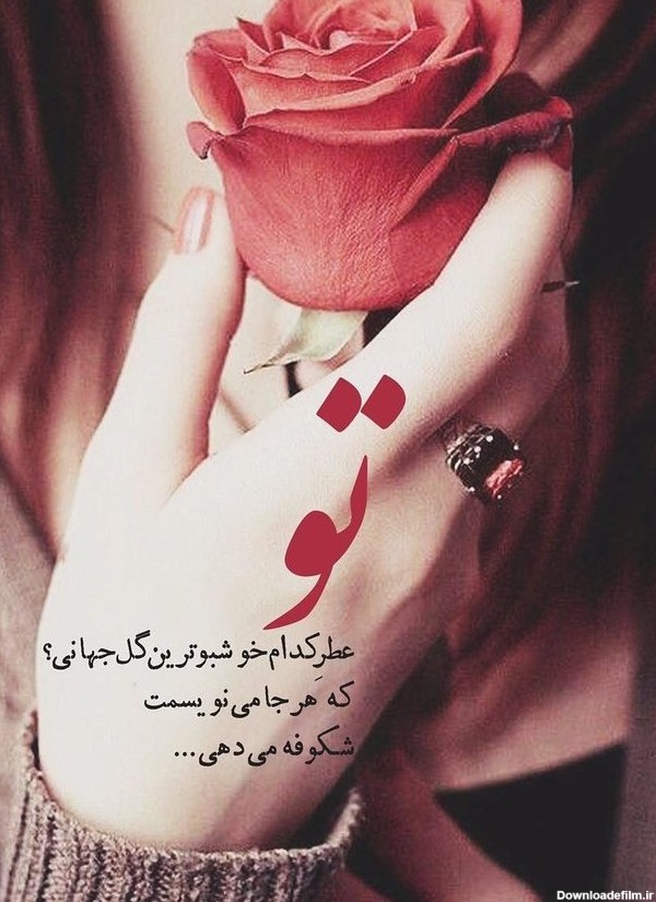 عکس پروفایل عاشقانه با گل رز خوشگل , عکس نوشته گل رز