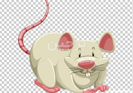 Borchin-ir-white mouse cartoon transparent animal large photo_png-عکس کارتونی موش سفید زیبا۲