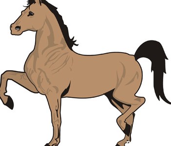 عکس نقاشی اسب کارتونی cartoon drawing horse