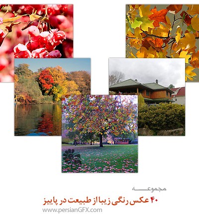 40 عکس رنگی زیبا از طبیعت در پاییز