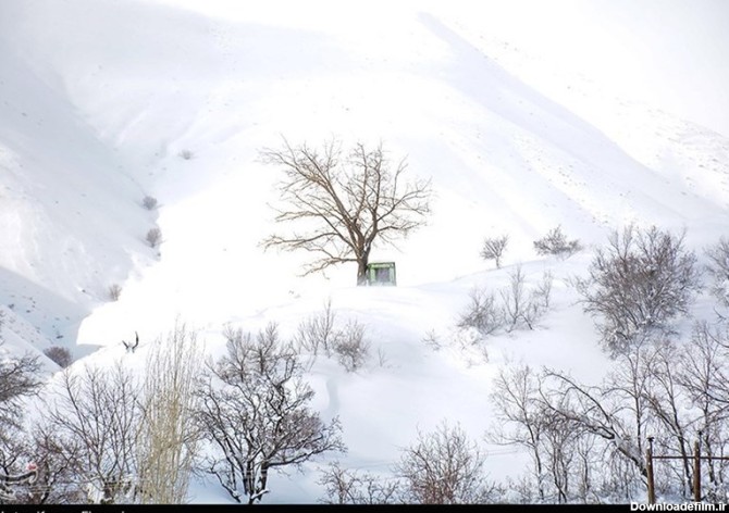 طبیعت برفی استان کردستان به روایت تصویر - تسنیم