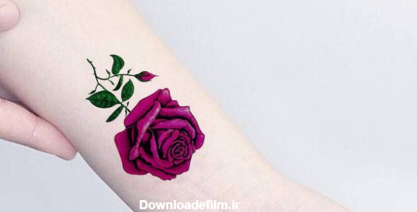 ۴۰ طرح شیک و جدید تاتو گل رز + نمادشناسی و معنی تتو گل رز - دترلند