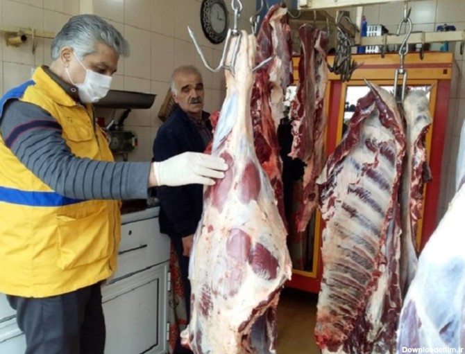 سازمان دامپزشکی: گزارش فروش گوشت اسب و الاغ به ما رسیده ولی از ...