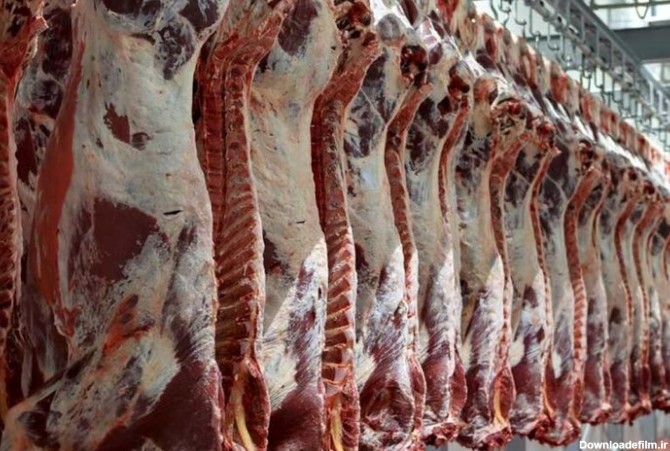 قیمت گوشت را به زیر ۳۰۰ هزار تومان می رسانیم - خبرگزاری مهر ...