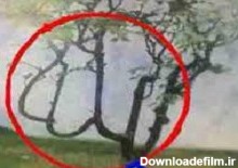 آیا عکس هایی از نقش بستن نام الله بر روی درخت و میوه و حیوان و ...