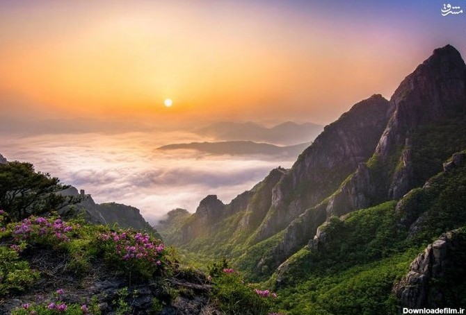 طبیعت خارق‌العاده کره‌جنوبی/تصاویر | ورس | ورس