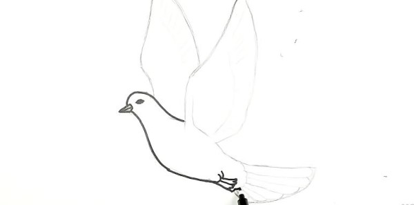 نقاشی کودکانه کبوتر نامه بر
