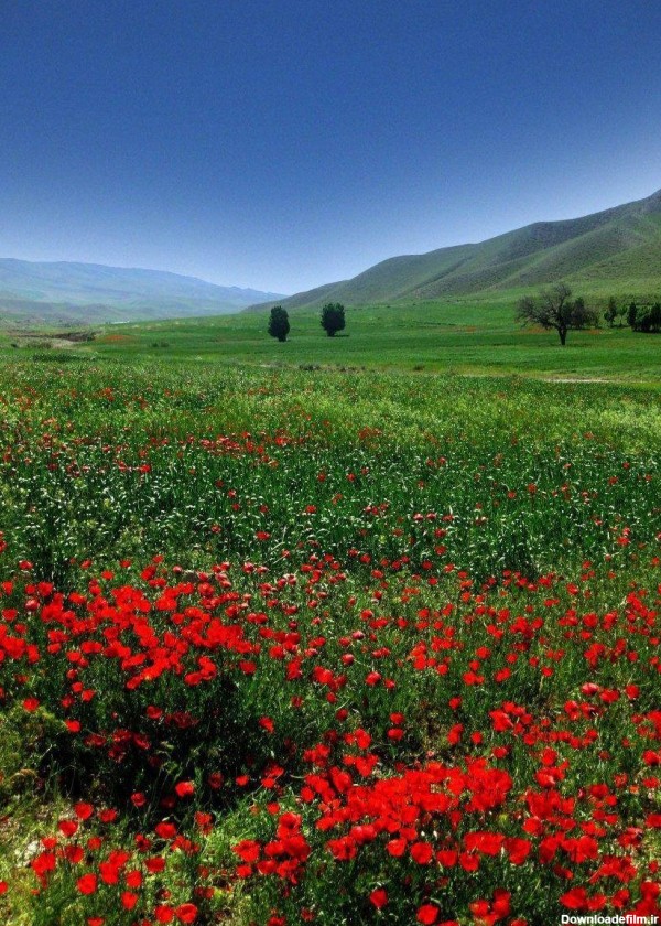 عکسهای بسیار زیبا از طبیعت ایران ۱۴۰۰ - عکس نودی