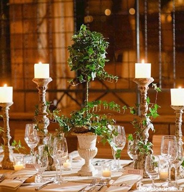 تزیین میز با شمع و گیاه