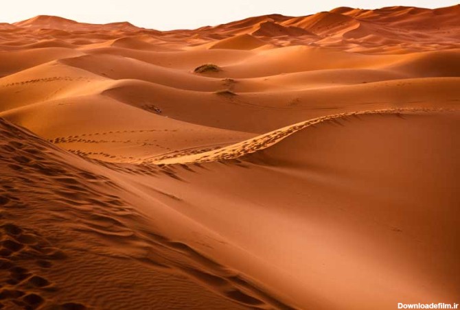 تصویر شنزار صحرا | تیک طرح مرجع گرافیک ایران