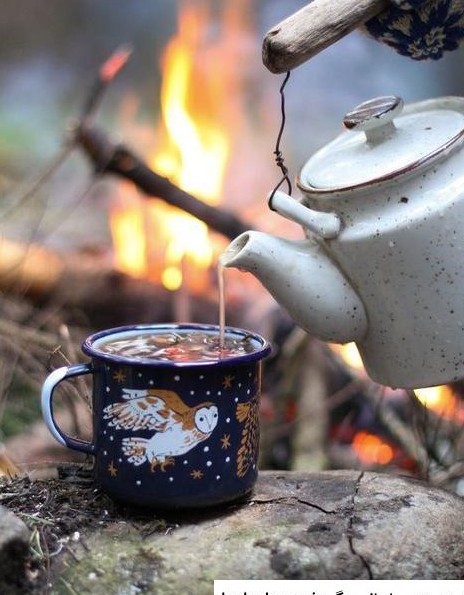 عکس چای زمستان ❤️ [ بهترین تصاویر ]