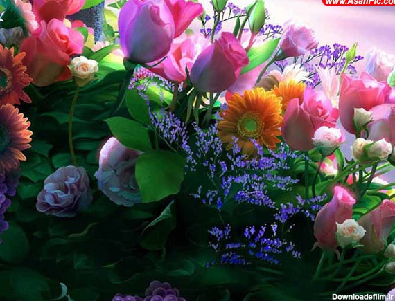 عکس هایی از گل های زیبا و رمانتیک - قسمت دوم