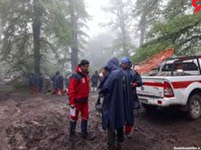 عملیات جستجو و نجات در جنگل های دشت ناز همچنان ادامه دارد