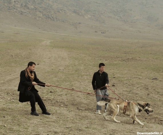 عکسهای از صحنه دیدنی سگ جنگی در افغانستان!