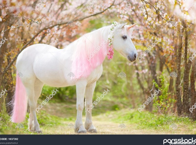 اسب تک شاخ عکس یک اسب شاخدار سفید برفی با یال و دم صورتی و ...