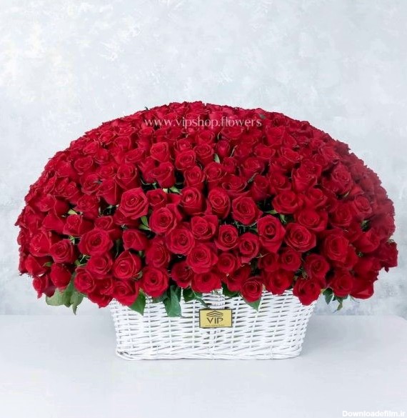 گل عاشقانه و رمانتیک  - سفارش آنلاین و گالری عکس | VIP