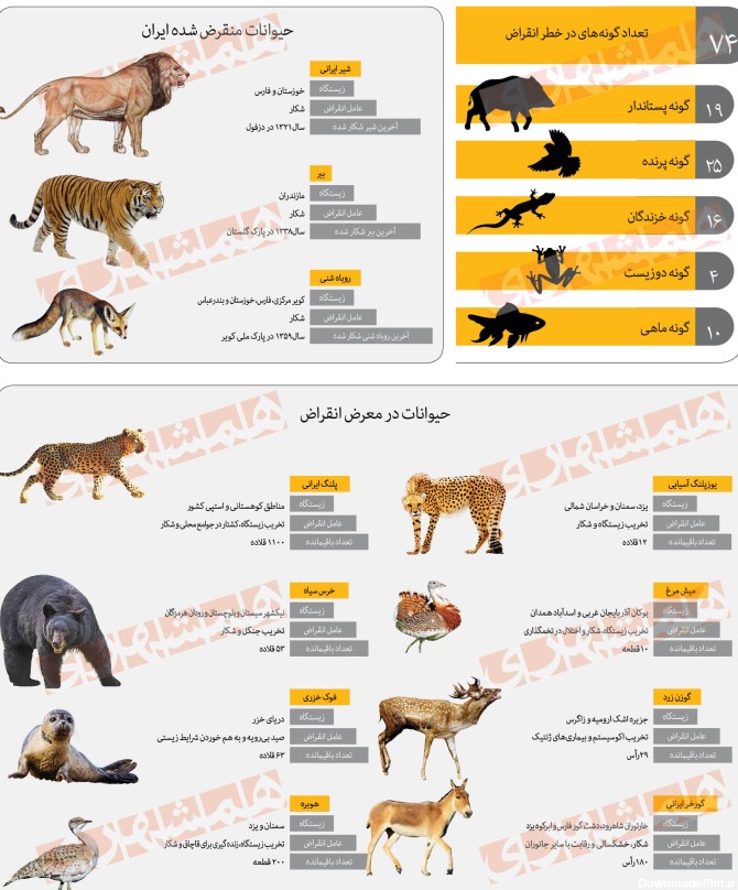 چندگونه جانوری در ایران در حال انقراض هستند؟