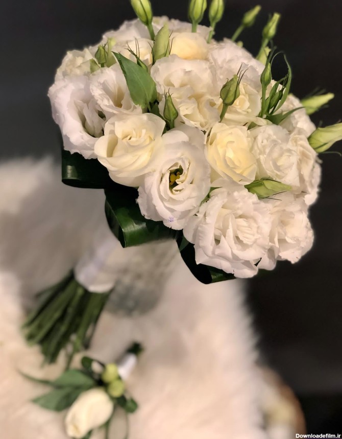 عکس دسته گل عروس | گل آف
