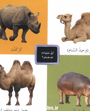 حیوانات البریة (حیوانات بیابانی در عربی)