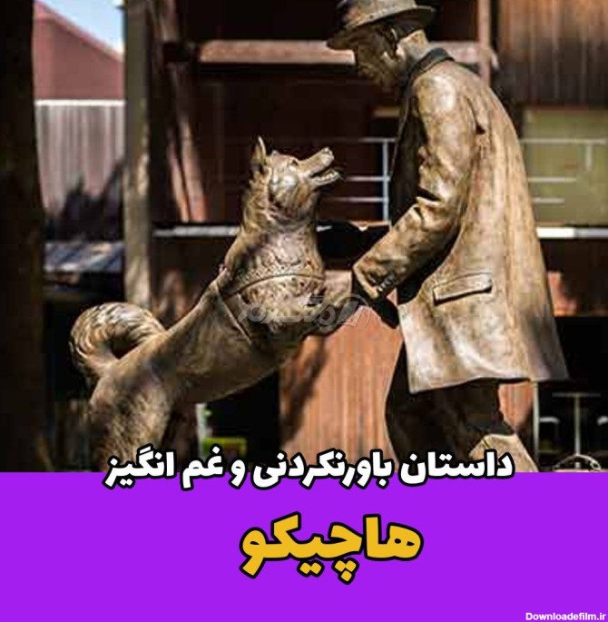 داستان باورنکردنی و غم انگیز هاچیکو سگ وفادار!